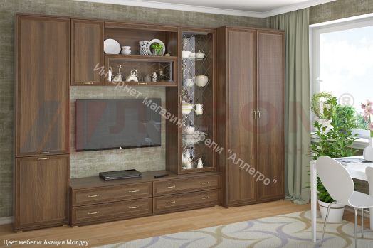 Гостиная Карина №16