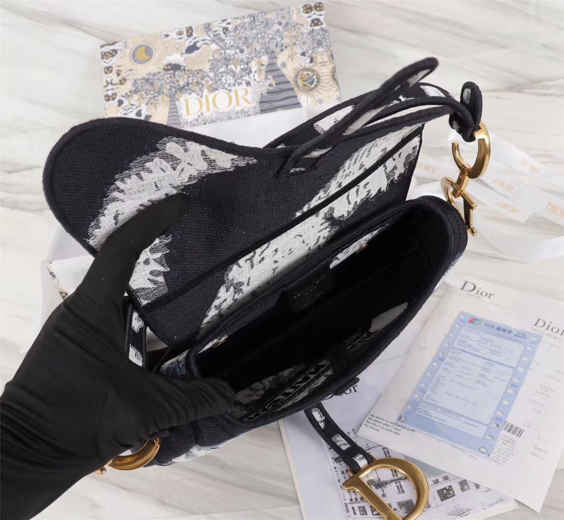 Dior Saddle Bag 25,5 cm