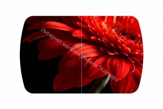 Стол обеденный "Бостон-3" раздвижной Красная гербера/хром брифинг