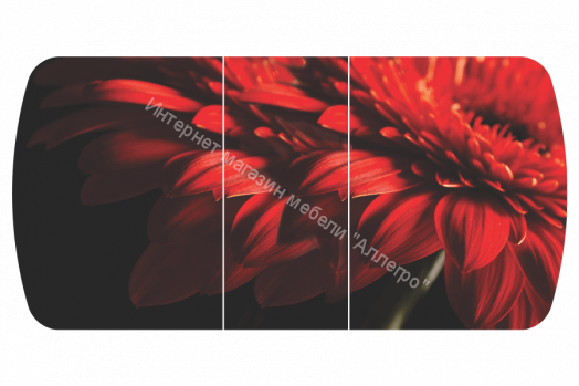 Стол обеденный "Бостон-3" раздвижной Красная гербера/хром брифинг