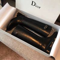 Сапоги Dior