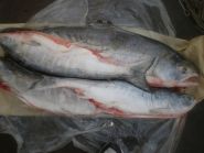 Кета потрошенная с головой тушка 2,5 кг Дальний Восток