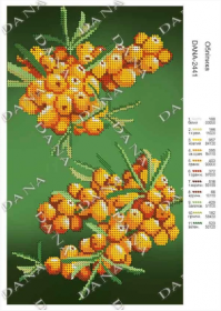 Dana DANA-2441. Облепиха схема для вышивки бисером купить оптом в магазине Золотая Игла