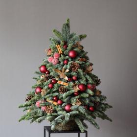 Новогодние ёлочки (большой размер)