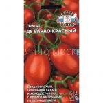 TOMAT DE BARAO KRASNYJ (SeDeK)