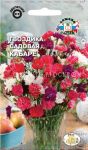 GVOZDIKA SADOVAYA KABARE (SeDeK)