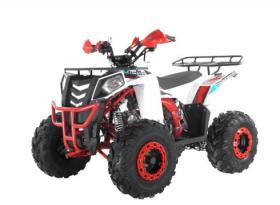 Детский квадроцикл бензиновый Wels Thunder Evo