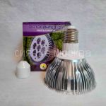 Fitolampa Fotosintez-21 dlya podsvechivaniya rastenij (potreblenie 7 W) (E27)1