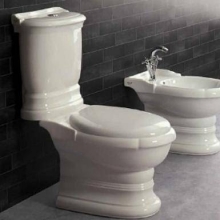 Унитаз напольный Ceramica Ala Excelsior 13MBS/P Унитаз напольный Ceramica Ala Excelsior 13MBS/P