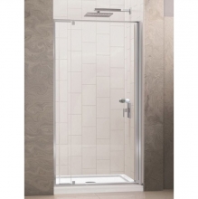 Душевая дверь в нишу RGW PA-02 04080200-51 Душевая дверь в нишу RGW PA-02 04080200-51