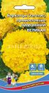 Barhatcy-Limonnyj-velikan-Uralskij-dachnik