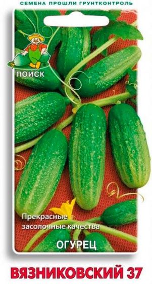 Семена Огурец Вязниковский 37 15шт.