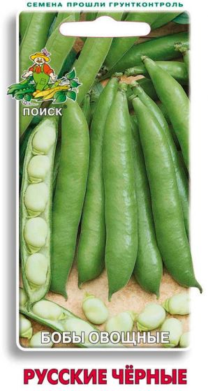Семена Бобы овощные Русские черные 10шт.
