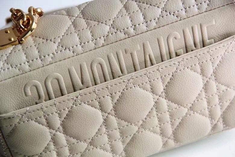 Dior Montaigne30 20 cm