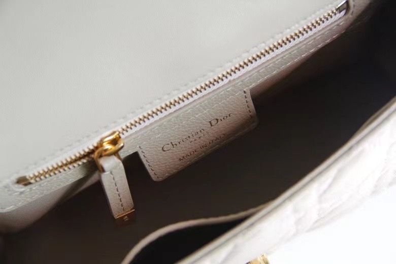 Dior Montaigne30 20 cm