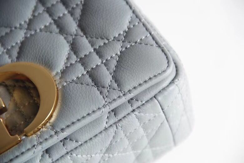 Dior Montaigne30 20 cm