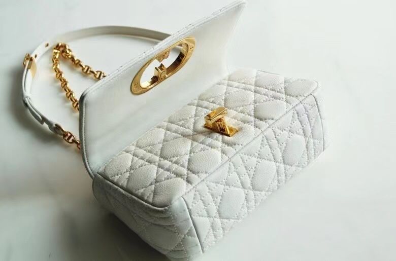 Dior Montaigne30 20 cm