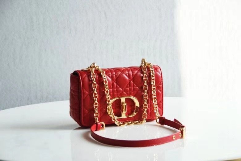 Dior Montaigne30 20 cm