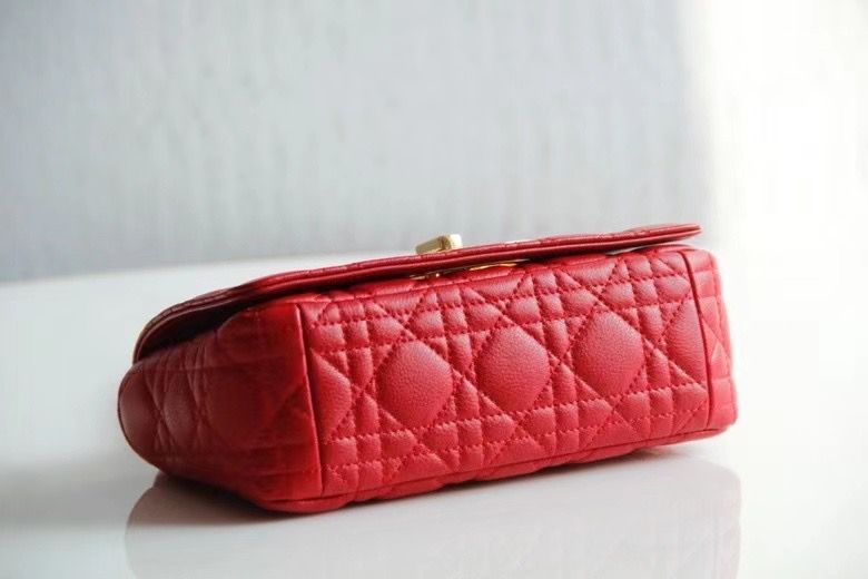 Dior Montaigne30 20 cm