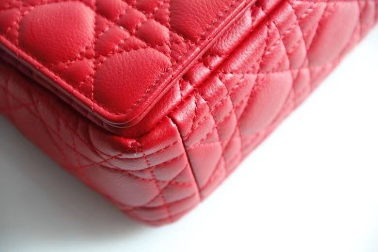 Dior Montaigne30 20 cm