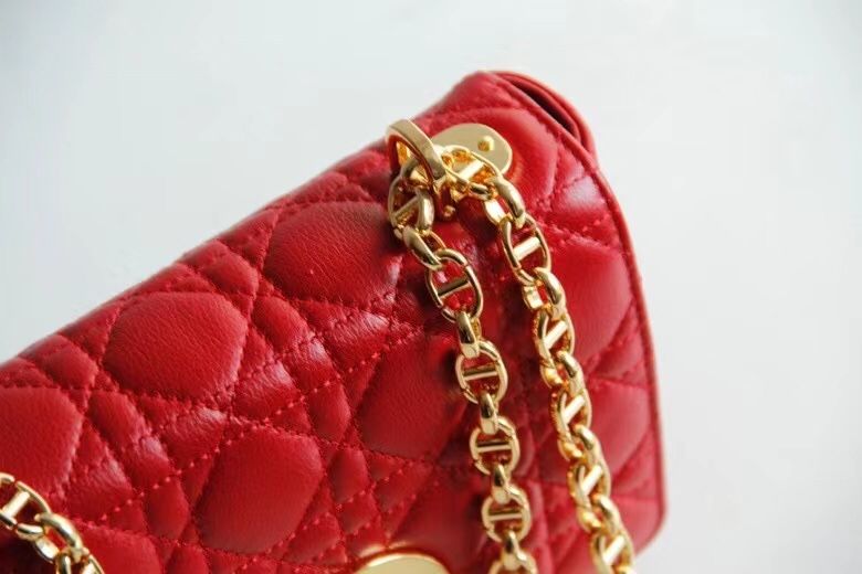 Dior Montaigne30 20 cm