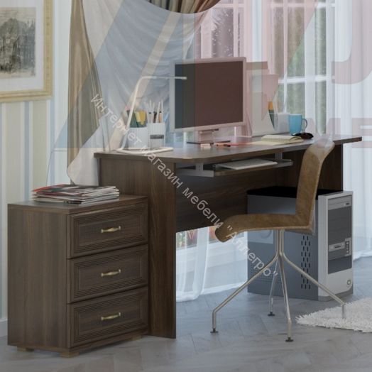 Стол компьютерный  СТ-1011 Карина