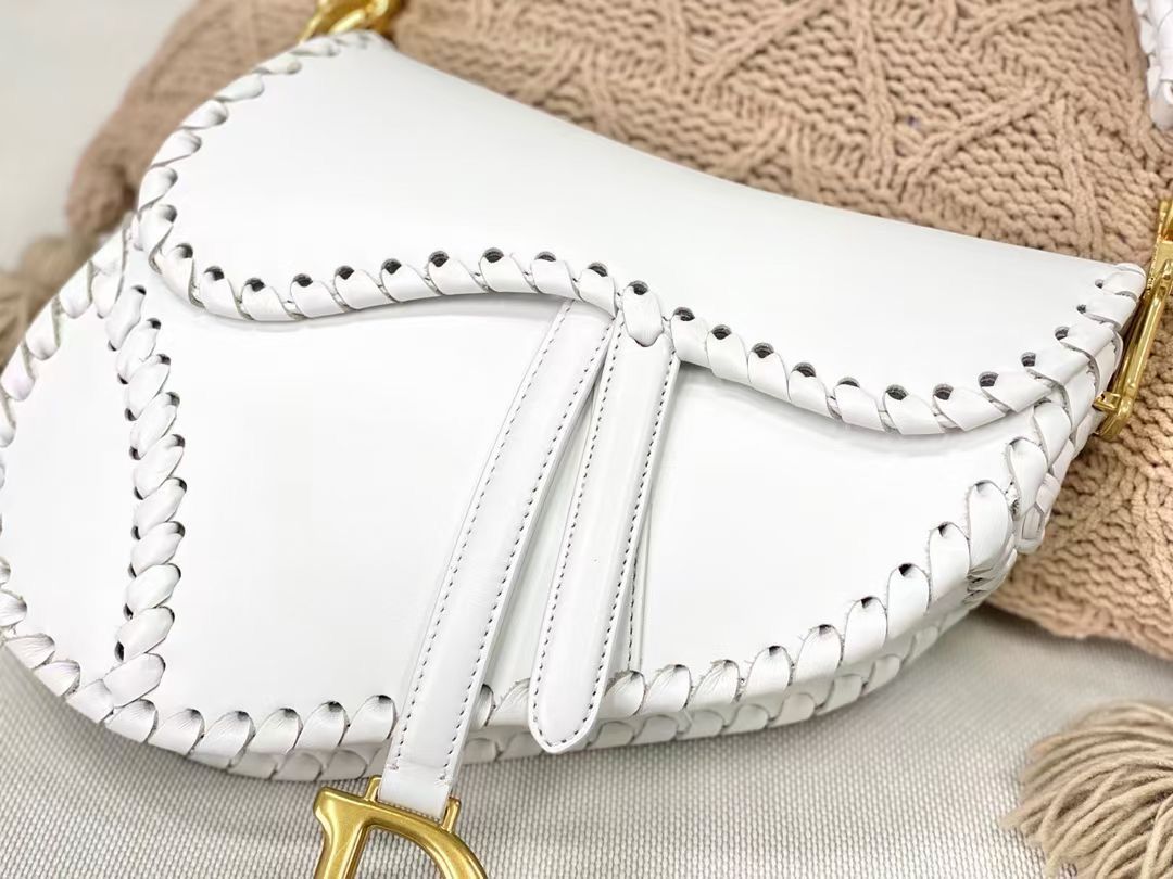 Dior Saddle Bag 25,5 cm