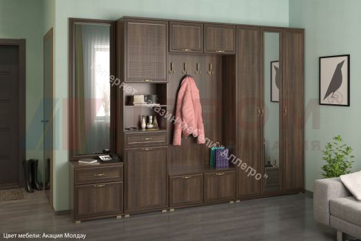 Шкаф ШК-1048 Карина многофункциональный