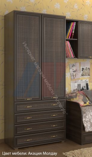 Карина Шкаф  ШК-1006 для одежды и белья