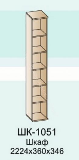 Шкаф ШК-1051 Карина многофункциональный