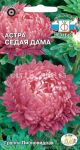 Астра Седая Дама (СеДек)