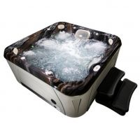 СПА бассейн на металлическом каркасе Hydropool Serenity 6800 217х217 схема 6