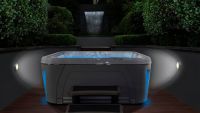 СПА-бассейн с 31 форсункой Hydropool Serenity 4300 216х157 схема 2