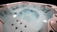 Семиместный СПА бассейн Hydropool Self Cleaning 770 Platinum 228х228 схема 3