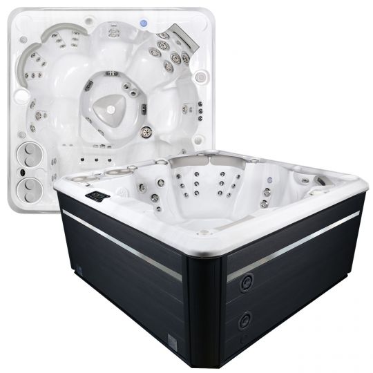 Фото СПА бассейн с гидромассажем Hydropool Self Cleaning 670 Platinum 213х213