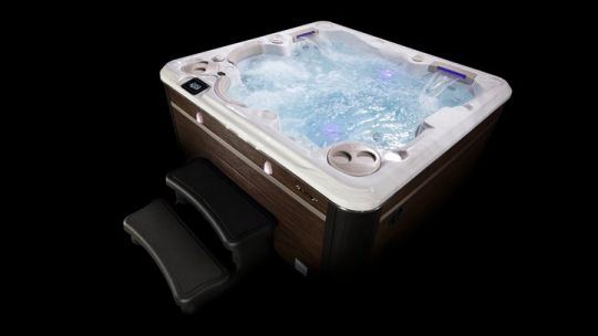 Четырехместный СПА бассейн Hydropool Self Cleaning 495 201х191 ФОТО