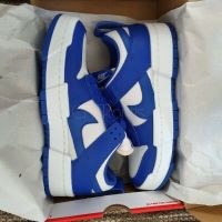 Nike Dunk Disrupt Blue