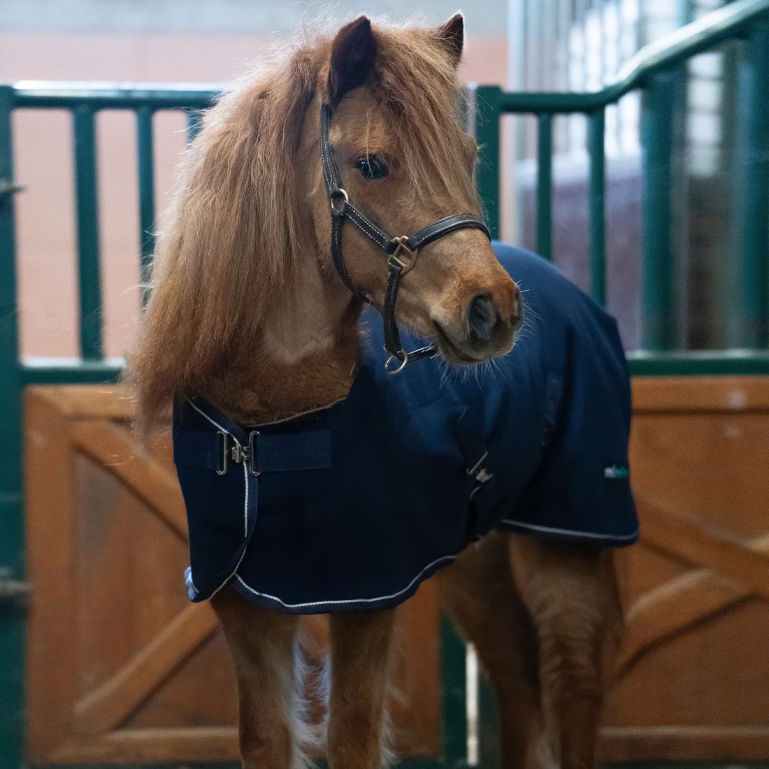 Попона флисовая Welsh Fleece mimimi