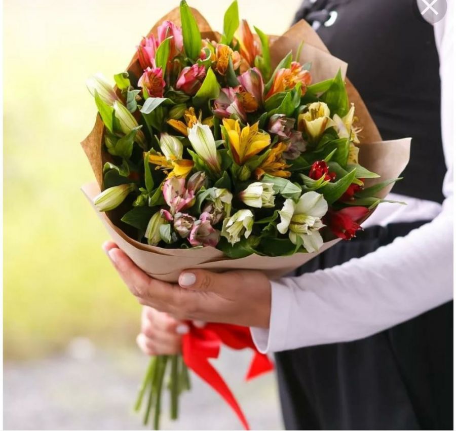 Альстромерия