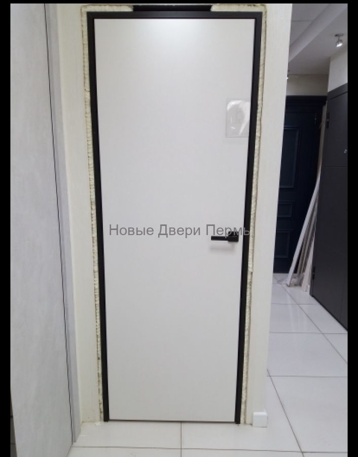 Скрытая дверь Карда черная кромка