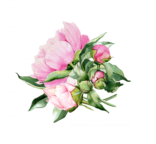 [Lectoroom] Акварельная коммерческая иллюстрация «Цветы» (Татьяна Ширбидова)