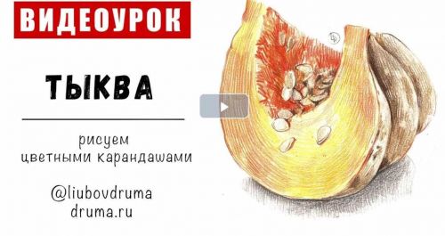 [Lubov Druma Art School] Мини-курс цветными карандашами «Овощи» (Любовь Дрюма)