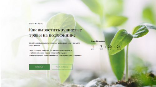 [Обитель] Как вырастить душистые травы на подоконнике (Яна Горбовская)