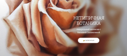 [OneHobby.School] Нетипичная ботаника. Тариф 'Минималист' (Евгения Саламатина)