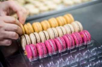 [Pastry Campus] Уровень 7. Печенье и макарон (Мария Селянина)