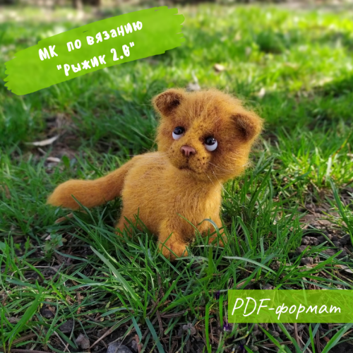 Котенок Рыжик 2.0 (Яна Мартовицкая)