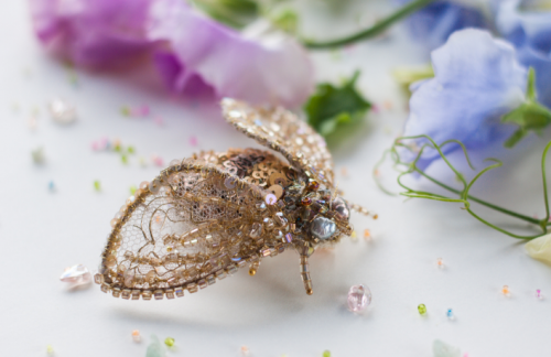 Полный онлайн курс «3D моделирование и вышивка насекомых» (Ева Андерс)