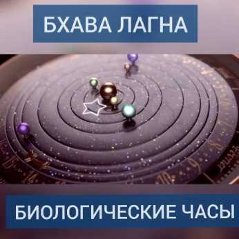Бхава лагна и биологические часы (Андрей Ларионов)