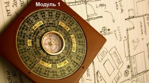 Цзы Вэй Доу Шу, 1 модуль (Елена Гимбицкая)