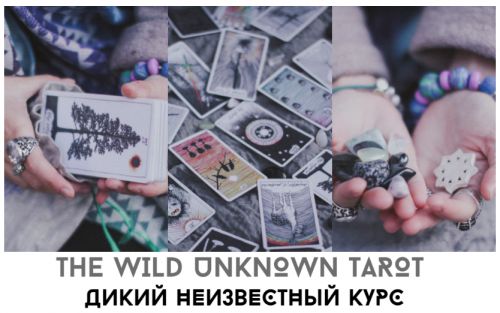 Дикое Неизвестное Таро (Лида Павлова)